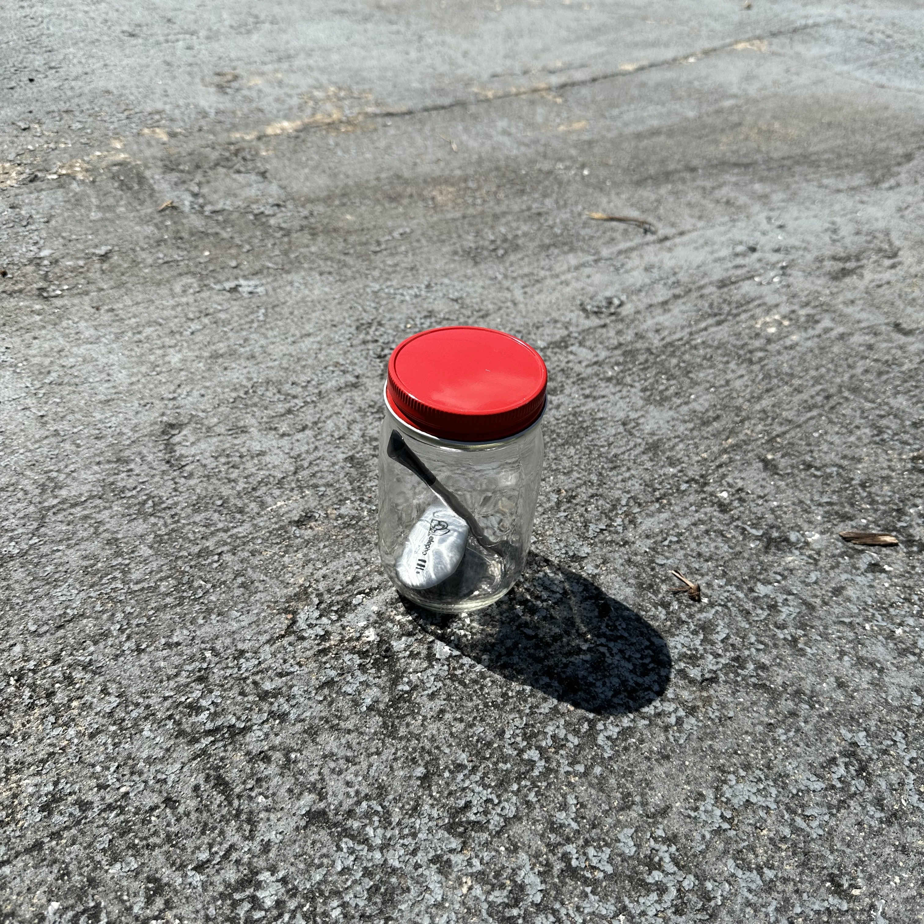 Photo of a mason jar with a red lid sitting on a concrete driveway with a Elepho eClip and Maverick Stake sealed inside.